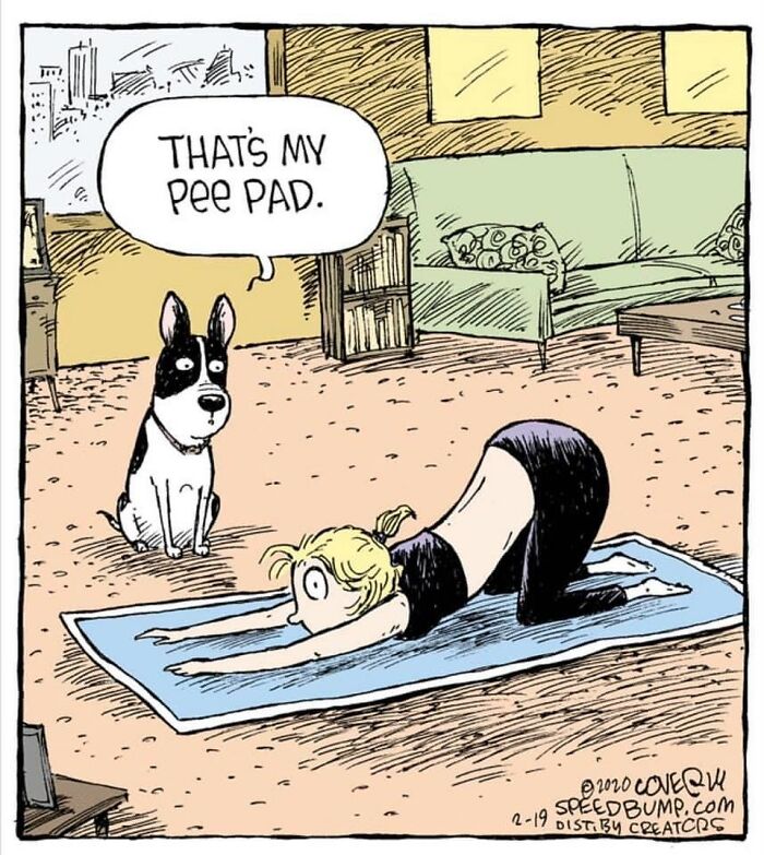 Comic of a dog watching a woman doing yoga, humorously implying the yoga mat is a pee pad.