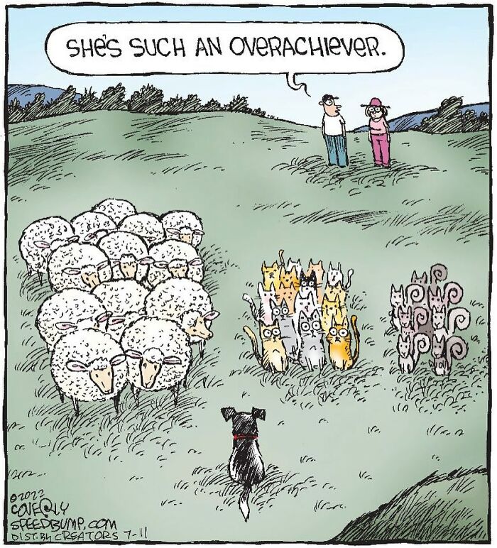 Humorous comic by Dave Coverly shows a dog herding sheep, cats, and squirrels, with a caption about overachieving.