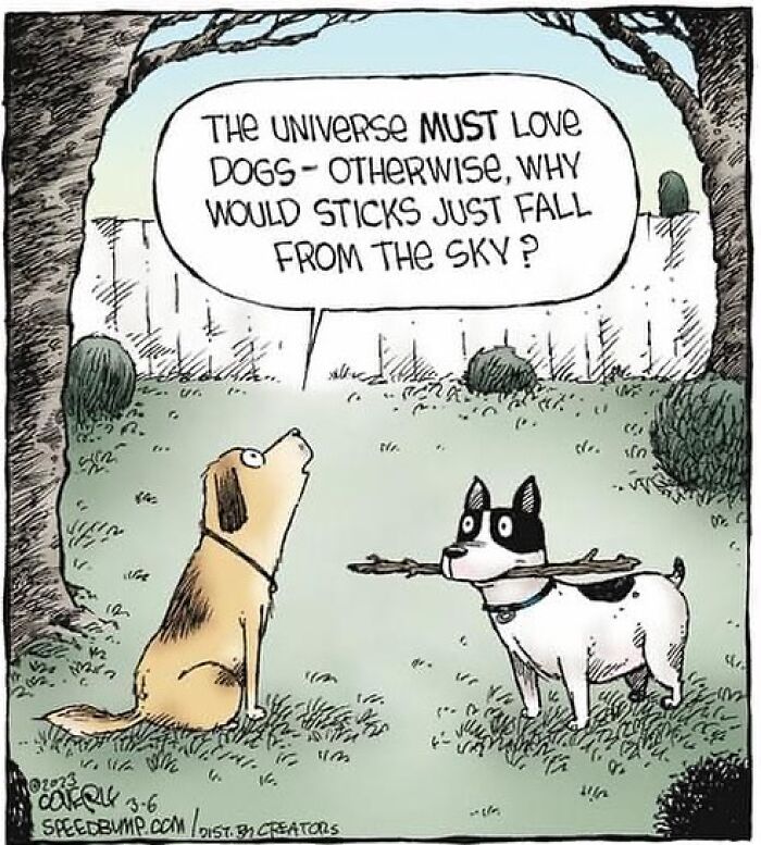 Humorous one-panel comic by Dave Coverly featuring two dogs discussing sticks falling from the sky.