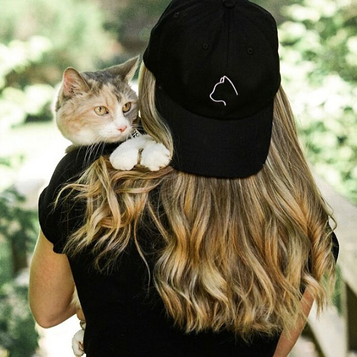 Angela Rafuse Is A Founder Of &lsquo;My Grandfather&rsquo;s Cat Charity&rsquo;, Helping Seniors To Rehome Their Pets