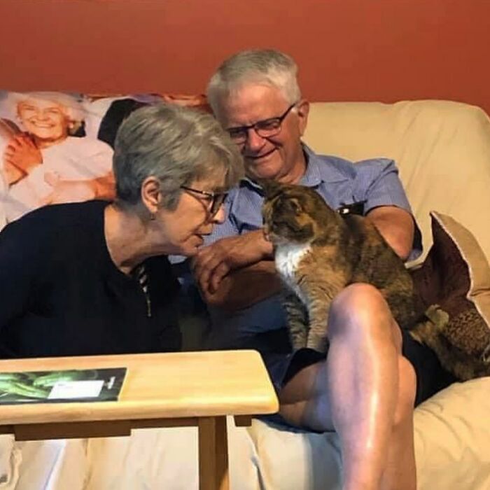 Angela Rafuse Is A Founder Of &lsquo;My Grandfather&rsquo;s Cat Charity&rsquo;, Helping Seniors To Rehome Their Pets