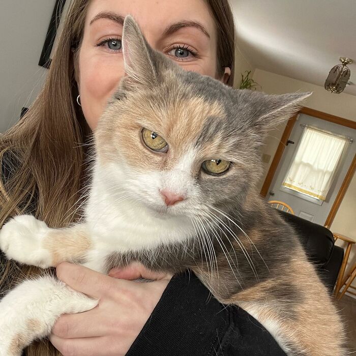 Angela Rafuse Is A Founder Of &lsquo;My Grandfather&rsquo;s Cat Charity&rsquo;, Helping Seniors To Rehome Their Pets