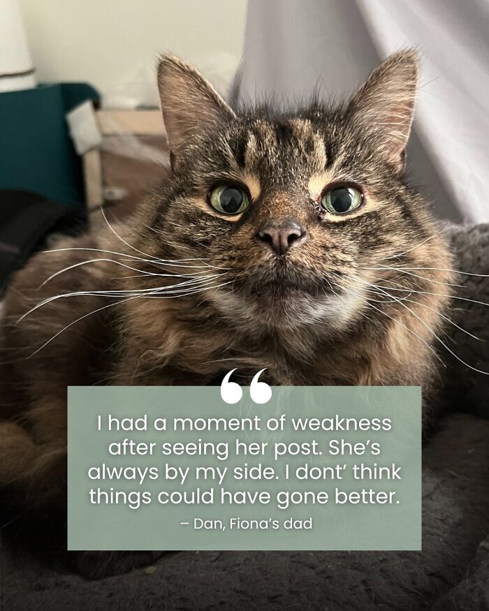 Angela Rafuse Is A Founder Of &lsquo;My Grandfather&rsquo;s Cat Charity&rsquo;, Helping Seniors To Rehome Their Pets