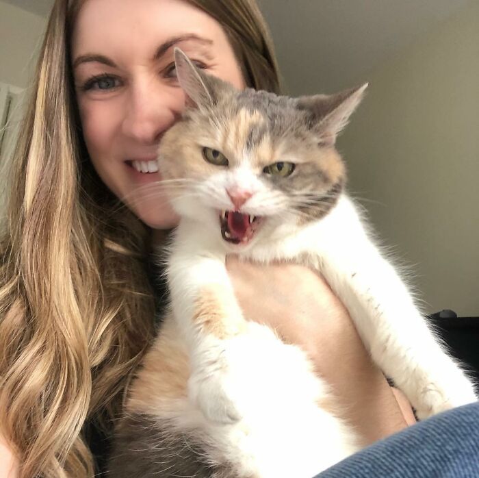 Angela Rafuse Is A Founder Of &lsquo;My Grandfather&rsquo;s Cat Charity&rsquo;, Helping Seniors To Rehome Their Pets