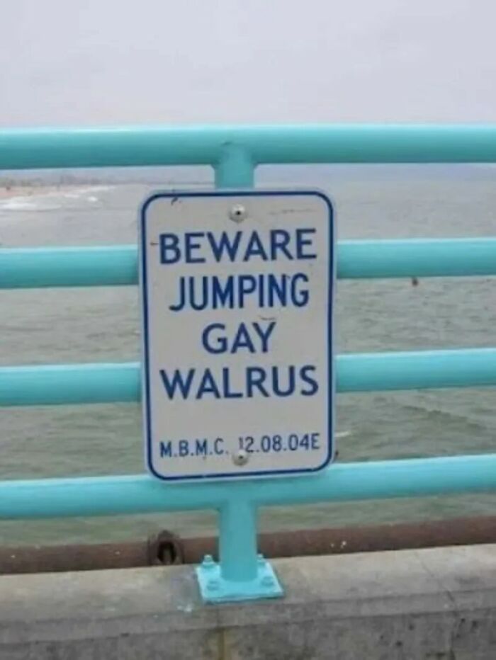 Absurd-Funny-Signs