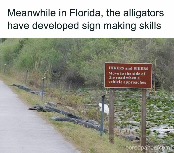 Absurd-Funny-Signs