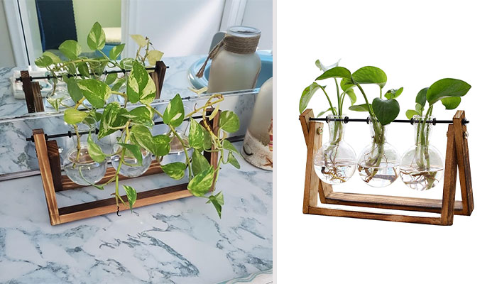 Flower Terratrendy Trio: Plant Terrarium With Wooden Stand - 'Plant' Some Vintage Vibes In Your Space, Making Your Decor Bloom With Retro Room!