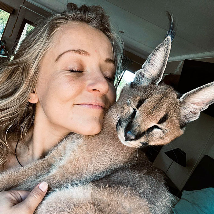 Woman holding a caracal with enormous ears close to her face inside a cozy home showing animals with enormous ears.