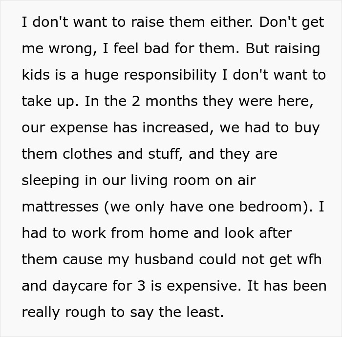 Sister Ditches Her Kids With A Childfree Brother And His Wife, Woman Asks For A Divorce