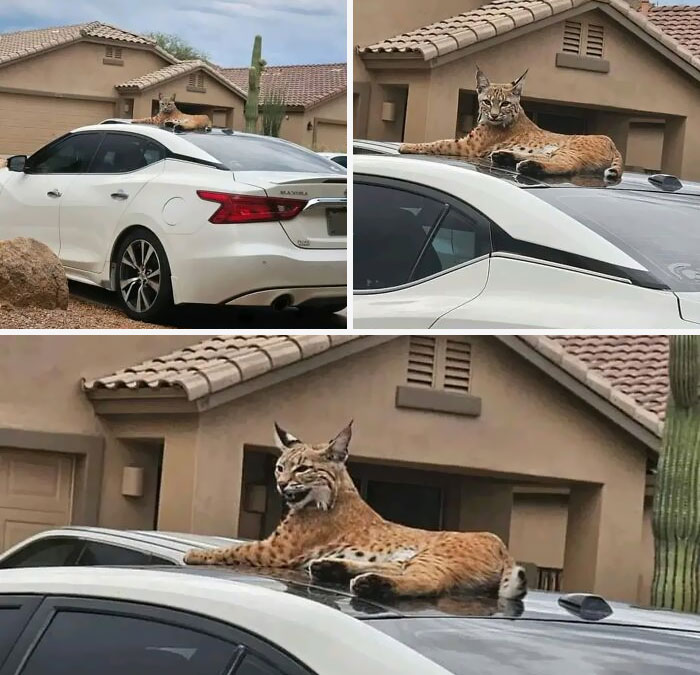 Alguien va a llegar tarde a trabajar