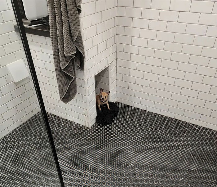 Bathroom with black penny floor tiles and white subway wall tiles showcasing stylish bathroom tile design ideas.