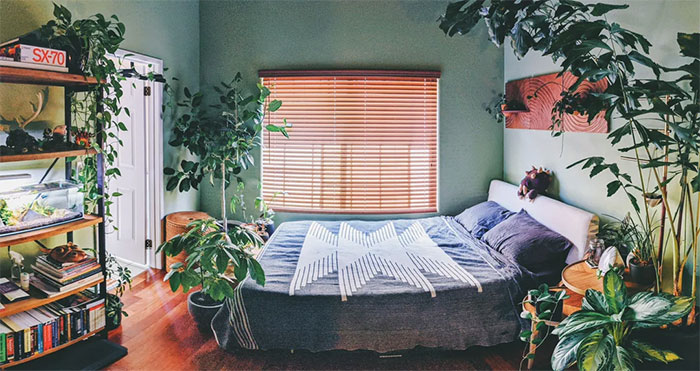 Cozy bedroom filled with lush green plants, showcasing creative and cool bedroom wall decor ideas with a natural vibe.