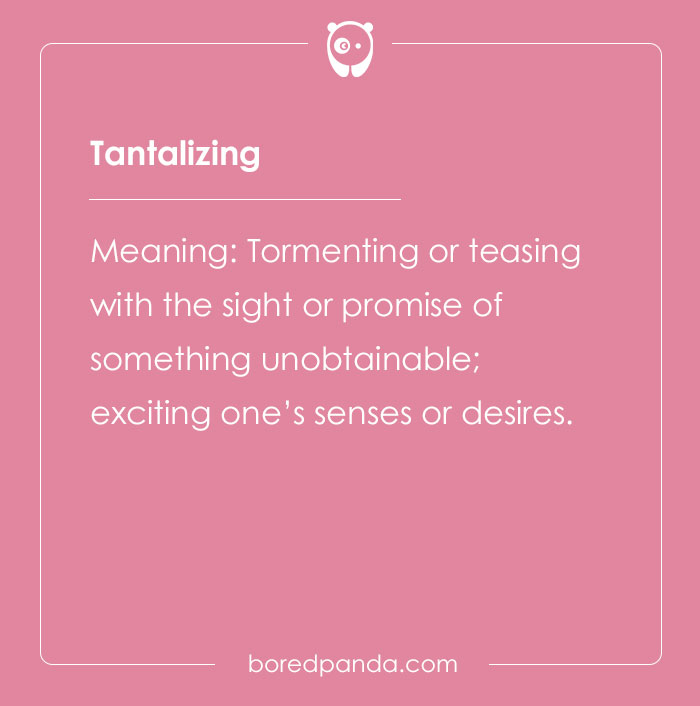 A Comprehensive List Of Big Words To Sound Smart