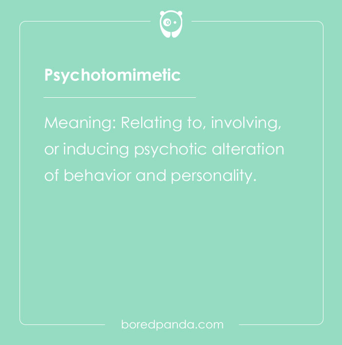 A Comprehensive List Of Big Words To Sound Smart