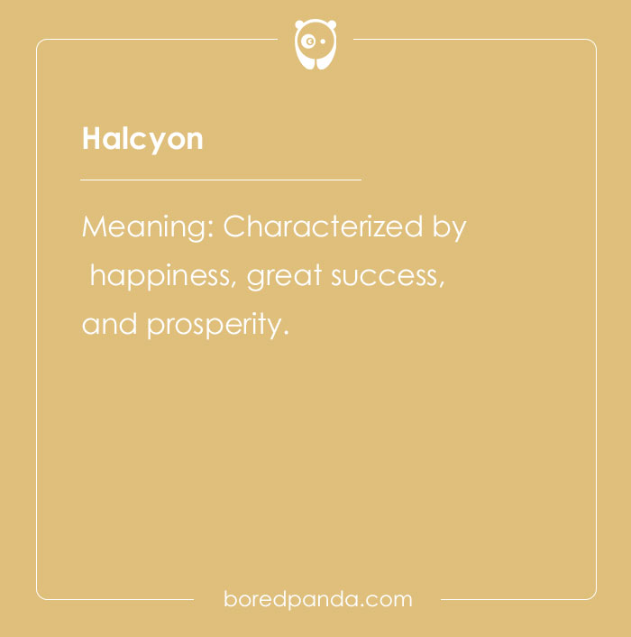 A Comprehensive List Of Big Words To Sound Smart