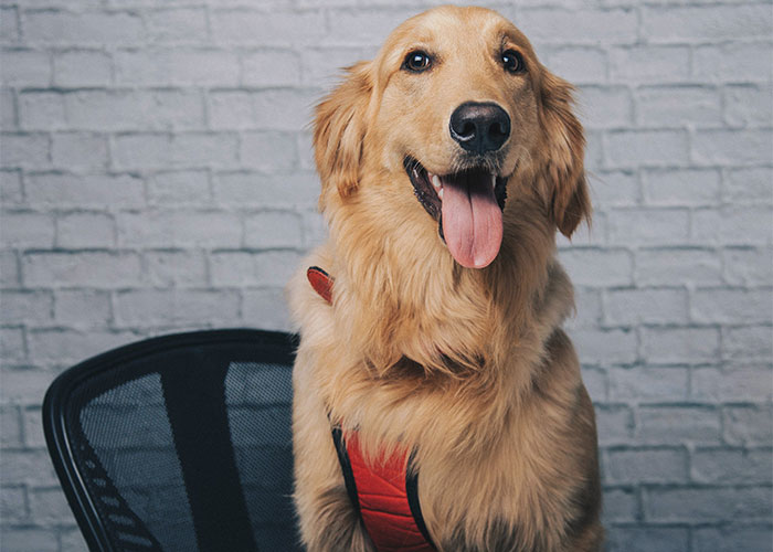 "What's The Most Bizarre 'House Rule' You've Encountered At Someone Else's Home?" (40 Answers)