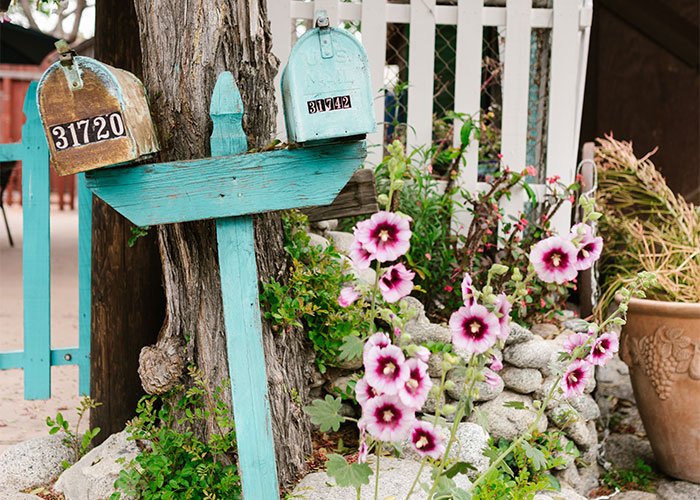 "¿Cuáles son las 'normas de la casa' más extrañas que te has encontrado al visitar a alguien?" (20 Respuestas)