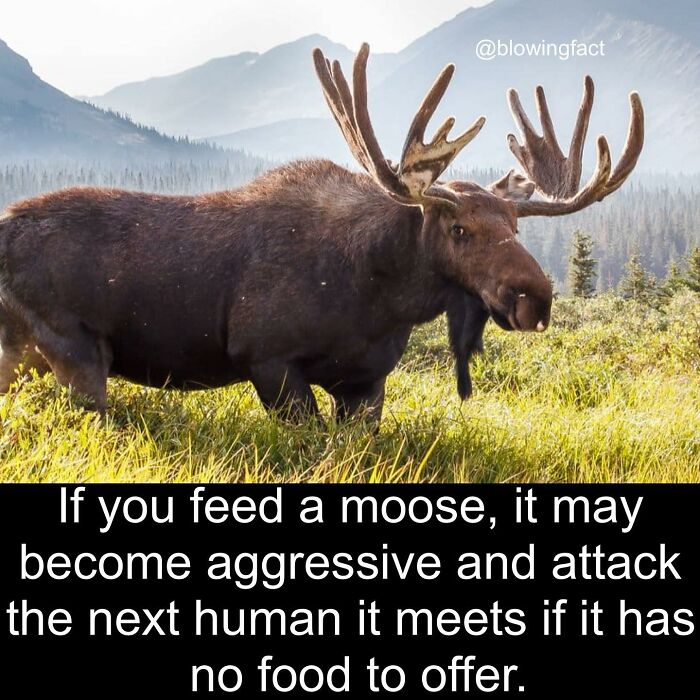 Interesting-Blowing-Facts-Pics