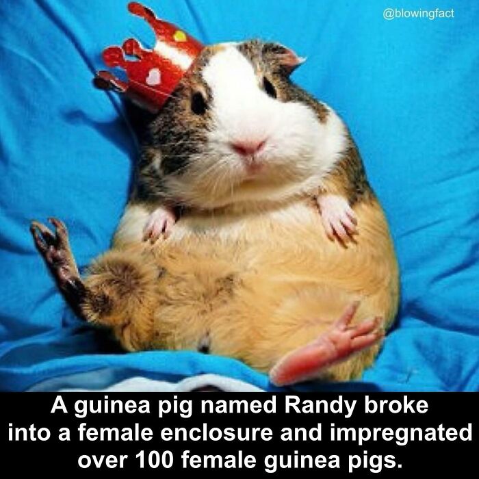 Interesting-Blowing-Facts-Pics