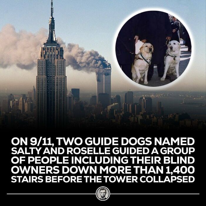 Interesting-Blowing-Facts-Pics