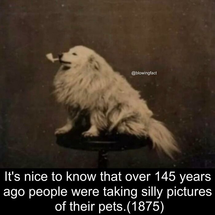 Interesting-Blowing-Facts-Pics