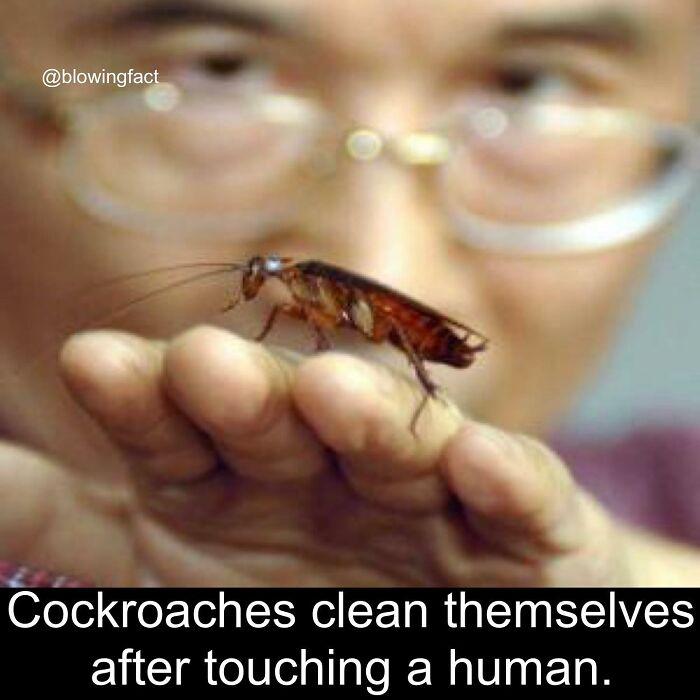 Interesting-Blowing-Facts-Pics