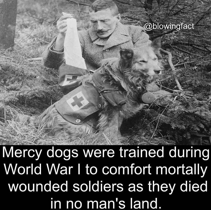 Interesting-Blowing-Facts-Pics