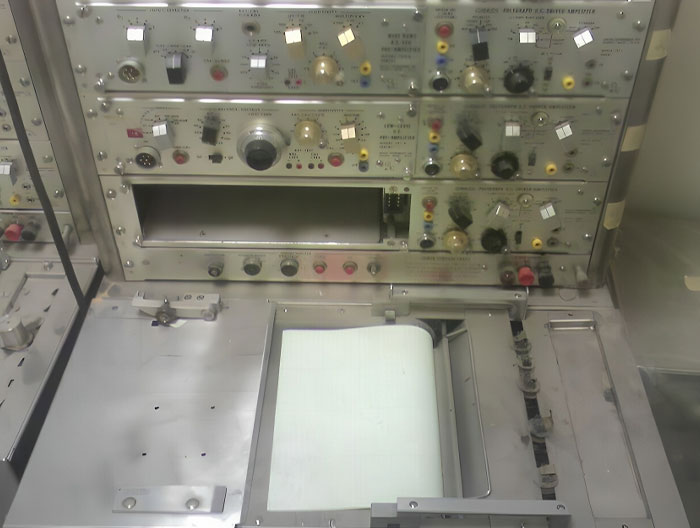 30 Myths That Have Been Debunked A Long Time Ago But Some People Still Fail To Catch Up