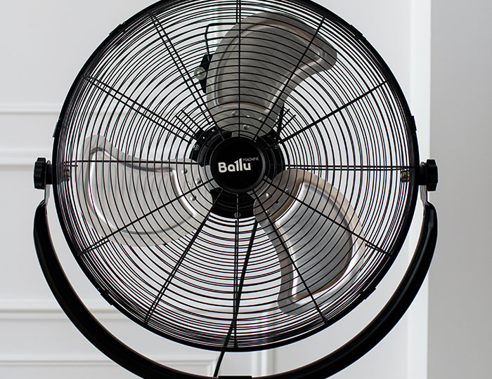 30 Myths That Have Been Debunked A Long Time Ago But Some People Still Fail To Catch Up