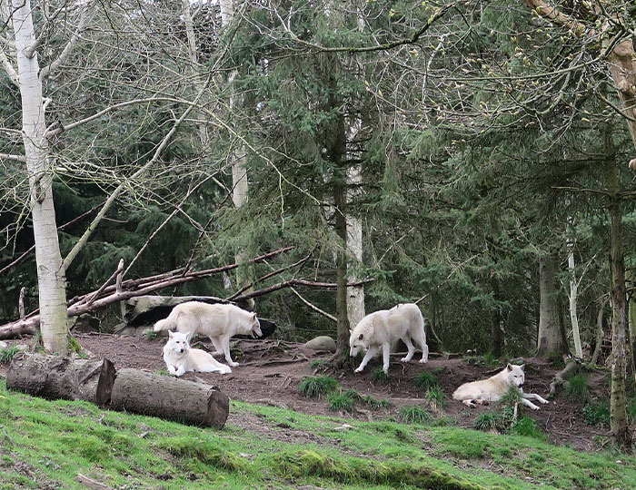 30 Myths That Have Been Debunked A Long Time Ago But Some People Still Fail To Catch Up