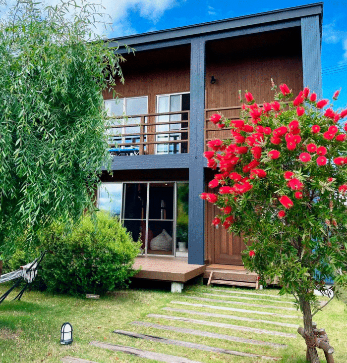 A pretty red bottlebrush tree in a garden next to a dark blue house