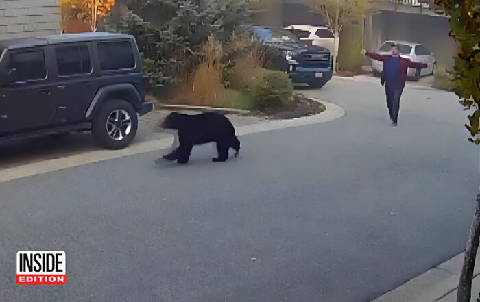 7-Year-Old Boy Goes Face-To-Face With A Bear, Gets Saved By A Brave Neighbor 7-Year-Old Boy Goes Face-To-Face With A Bear, Gets Saved By A Brave Neighbor