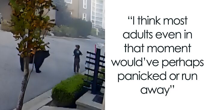 7-Year-Old Boy Goes Face-To-Face With A Bear, Gets Saved By A Brave Neighbor
