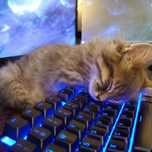 nuulunabaterega avatar