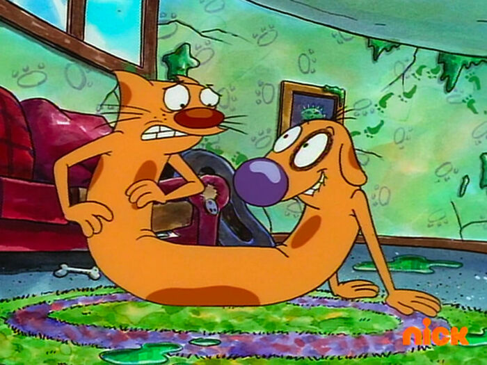 CatDog in a room