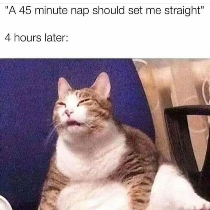 What Am I? Where Am I? When Am I?