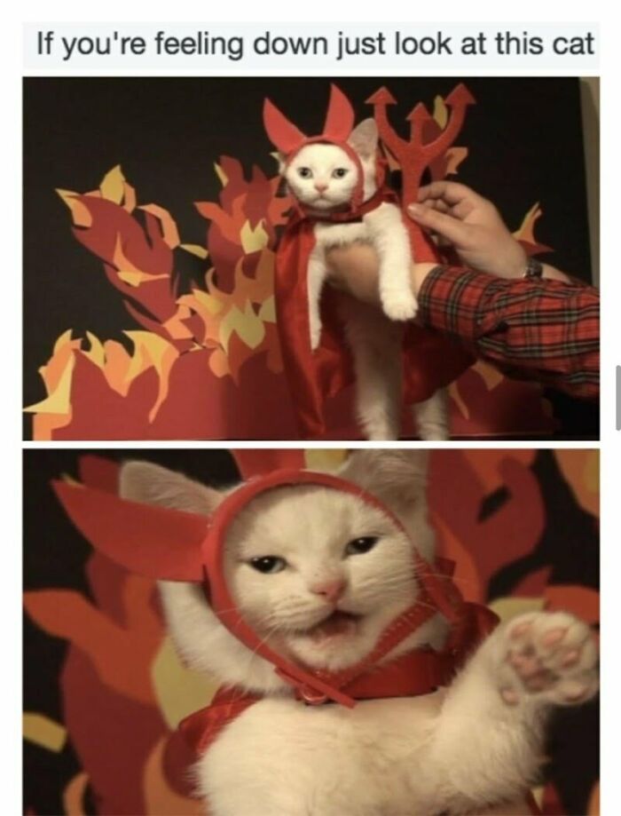 It Is Plotting To Take Over.the World!! Muhaha