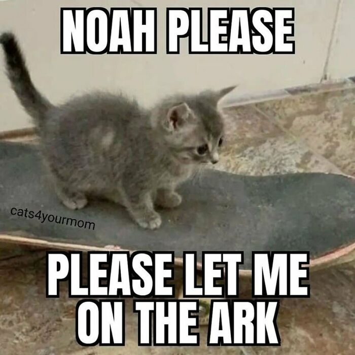 Christians. This Is For You