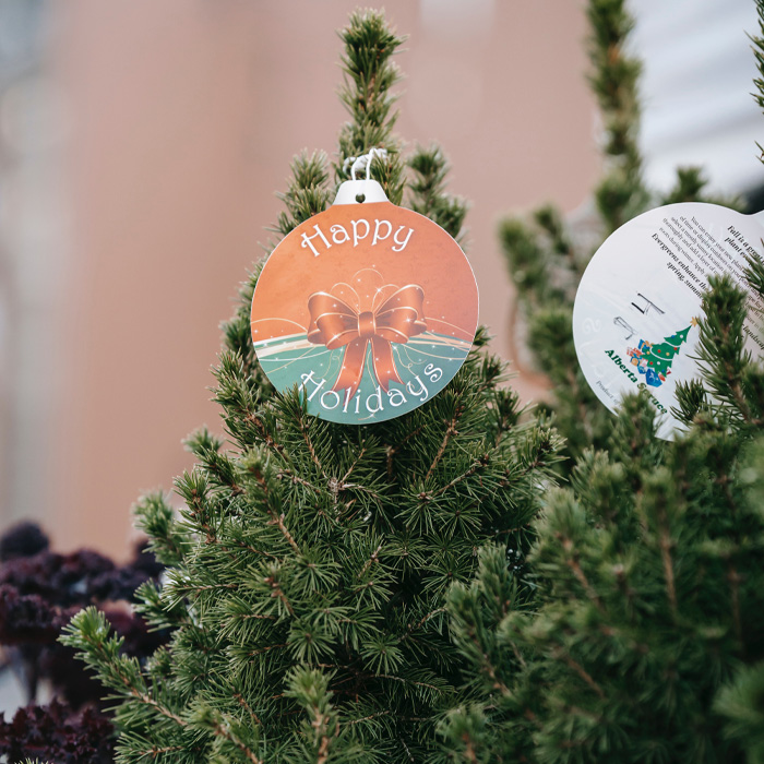 Christmas tree decoration with a festive Happy Holidays card, showcasing magical Christmas tree ideas for celebrations.