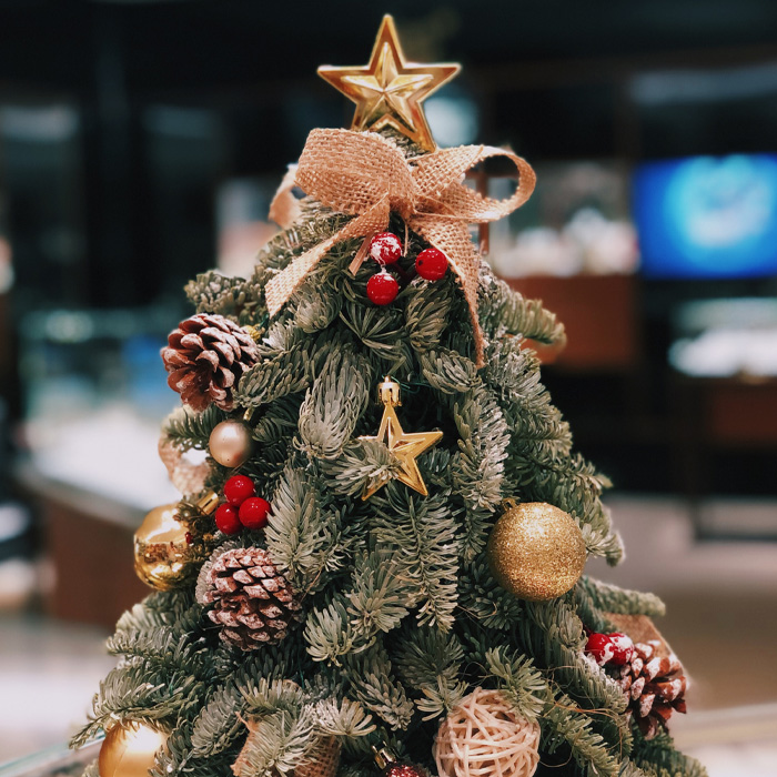 Decorated Christmas tree with star and bow topping, adorned with pine cones, berries, and golden ornaments for magical Christmas decor.