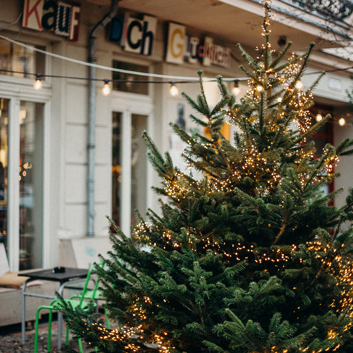 Fir Christmas tree decorated with glowing string lights outside, showcasing magical Christmas tree decorations and festive ideas.