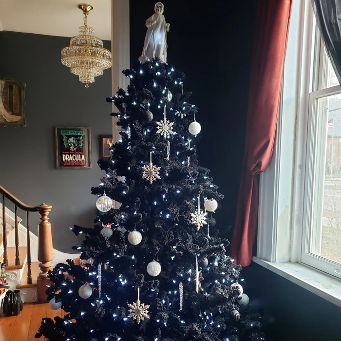 Black Christmas tree decorated with white snowflake ornaments and lights next to a large window for festive celebrations.