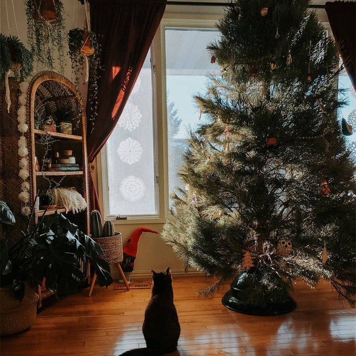 Black cat sitting near a decorated pine Christmas tree with festive ornaments for magical Christmas tree decorations.