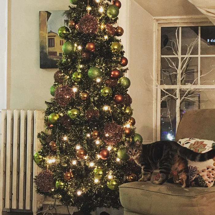 Earthy Christmas tree decorated with green and copper ornaments glowing with lights next to a curious cat on a couch.