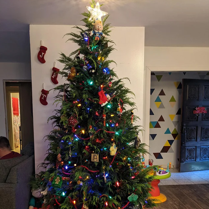 Decorated Cypress Christmas tree with colorful lights and festive ornaments for magical Christmas tree decorations and ideas.
