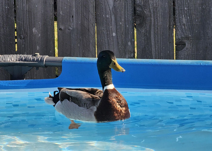 “Never Saw Him Again”: 41 Times The Class Clown Took It Too Far And Faced The Consequences