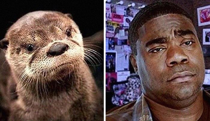 Funny-Celebrity-Lookalikes