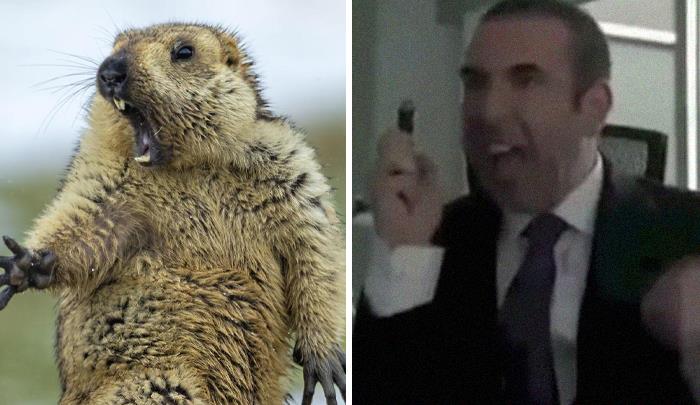 Funny-Celebrity-Lookalikes