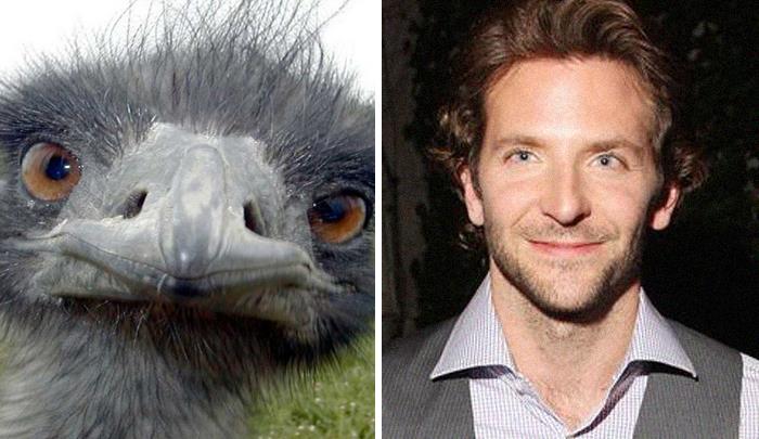 Funny-Celebrity-Lookalikes