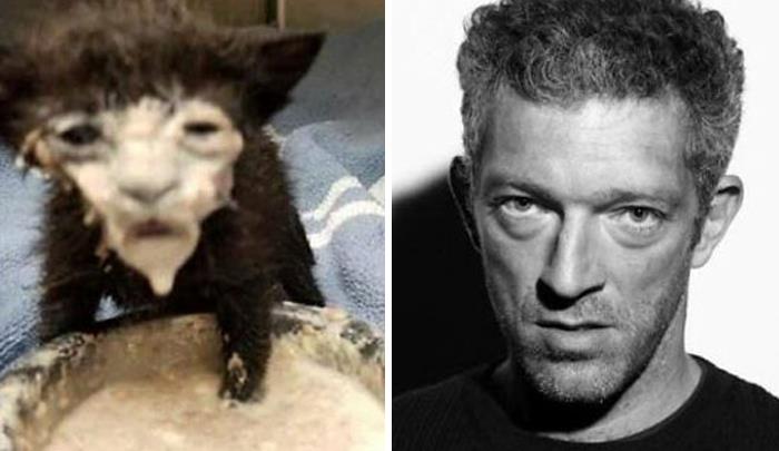 Funny-Celebrity-Lookalikes